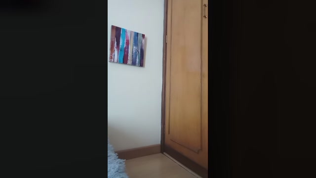 shari_kumar  07-08-2022